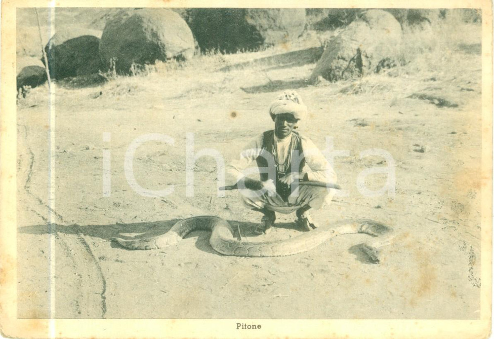 Cartolina originale da collezione 1940 ca ERITREA AOI L addestratore di serpenti Cartolina FG NV 1