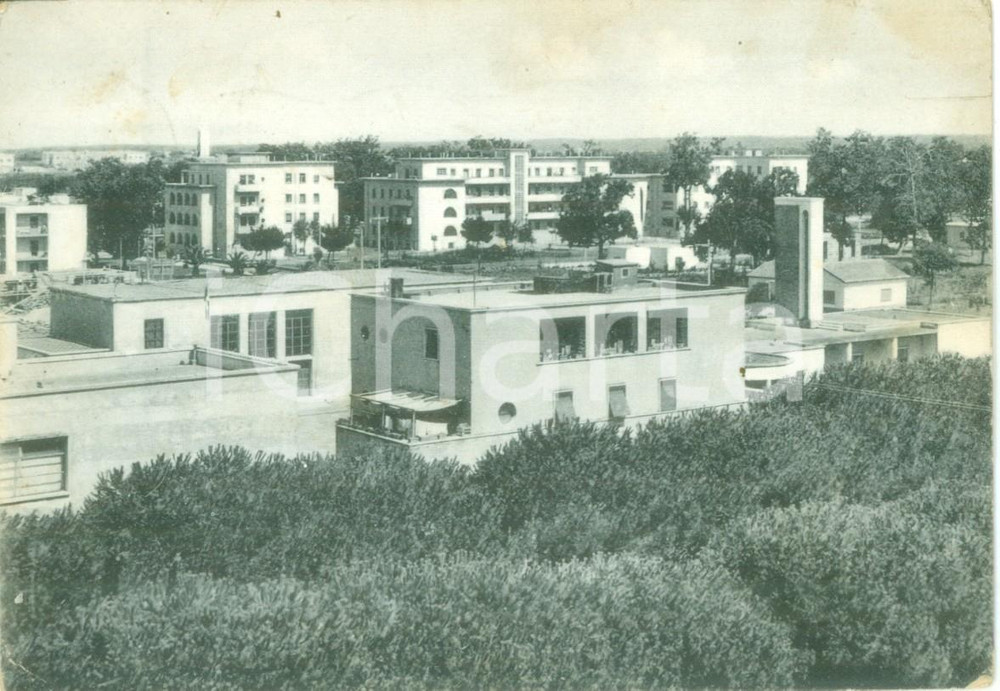 Cartolina originale da collezione 1960 SABAUDIA LT Panorama della Zona Villini Cartolina postale FG VG 1
