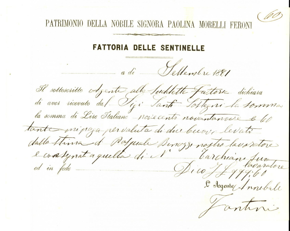 Documento originale, autentico 1881 Fattoria delle SENTINELLE FI Patrimonio Paolina MORELLI FERONI  Ricevuta 1