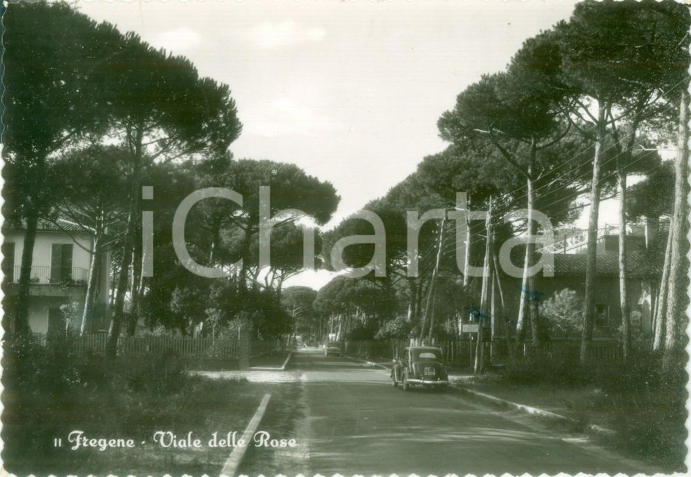 Cartolina originale da collezione 1952 FIUMICINO RM Viale delle Rose a FREGENE Cartolina FG VG 1