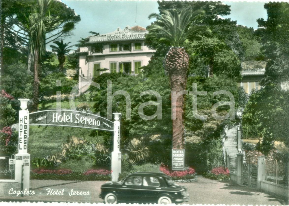 Cartolina originale da collezione 1960 ca COGOLETO GE Pensione ristorante Hotel SERENO Cartolina FG NV 1