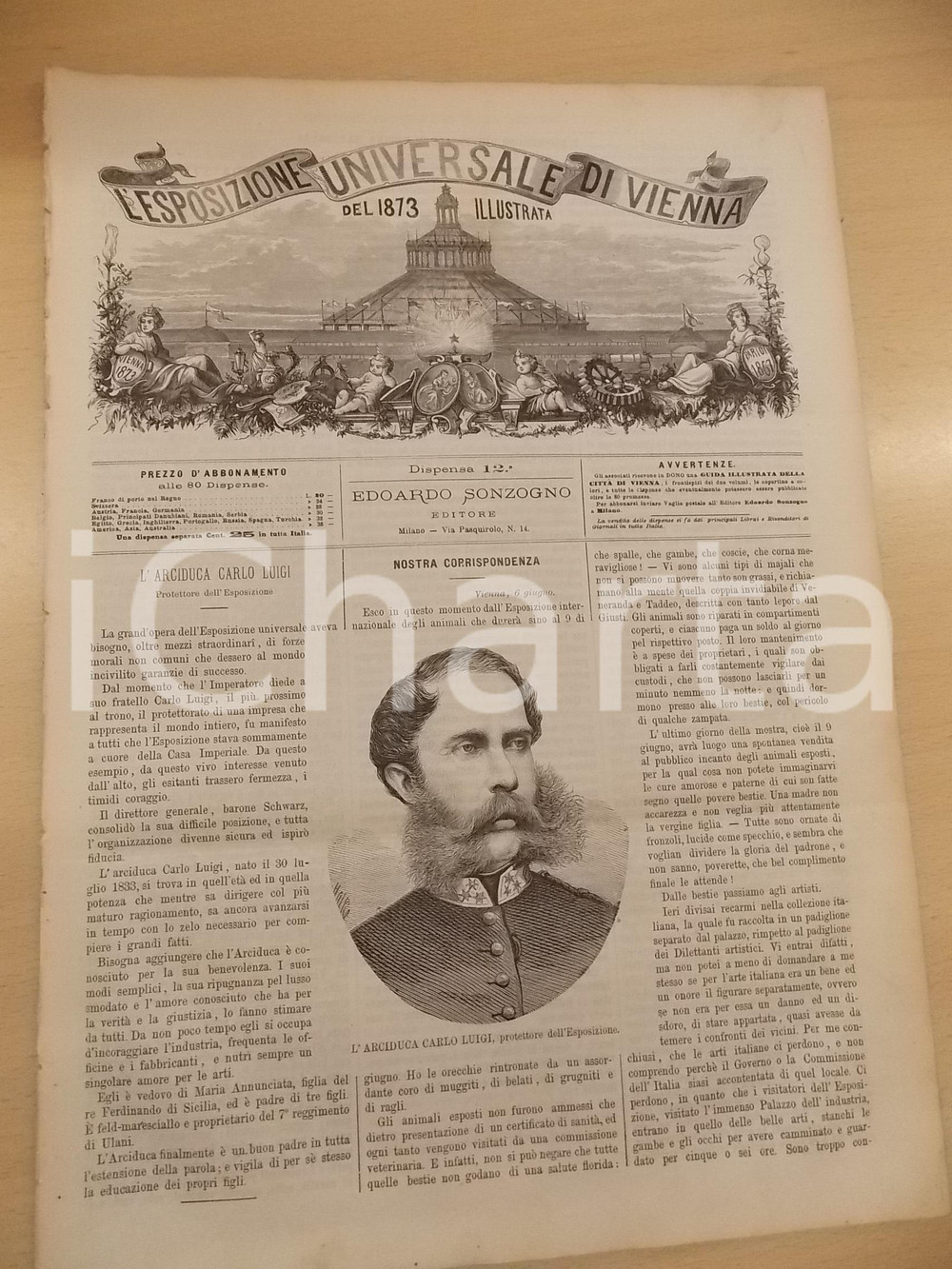 Giornale, rivista storica 1873 ESPOSIZIONE DI VIENNA Arciduca Carlo Luigi  Edoardo JENNER Rivista nÂ° 9 1