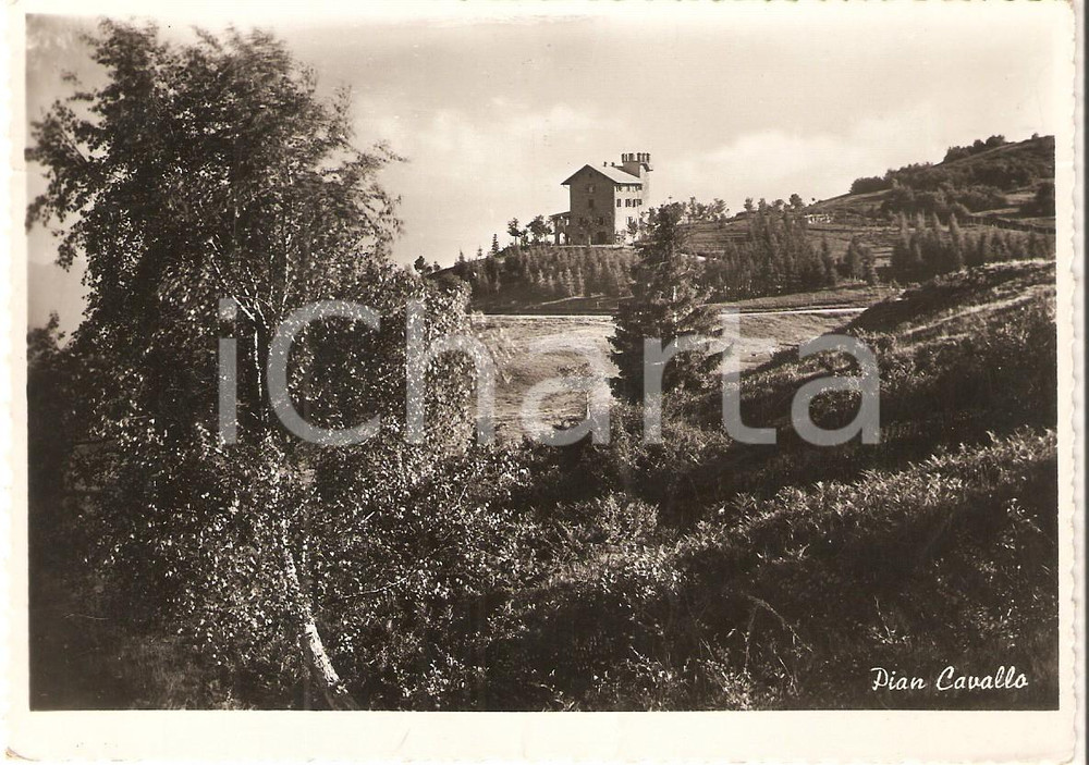 Cartolina originale da collezione 1955 PIANCAVALLO PD Panorama del paese Cartolina FG VG 1