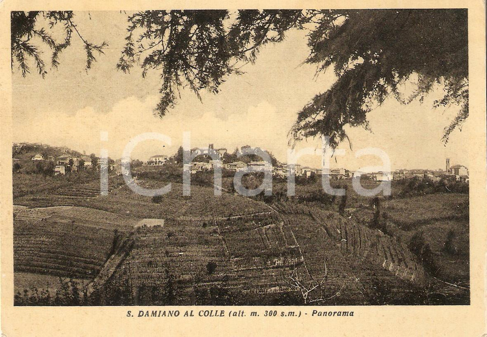 Cartolina originale da collezione 1954 SAN DAMIANO AL COLLE PV Panorama del paese Cartolina FG VG 1