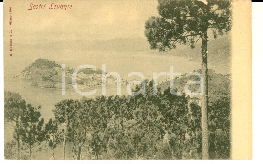 Cartolina originale da collezione 1900 ca SESTRI LEVANTE GE Veduta panoramica dall alto Cartolina FP NV 1