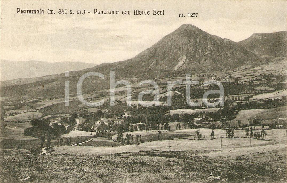 Cartolina originale da collezione 1930 FIRENZUOLA FI Frazione PIETRAMALA Panorama con Monte BENI Cartolina FP VG 1