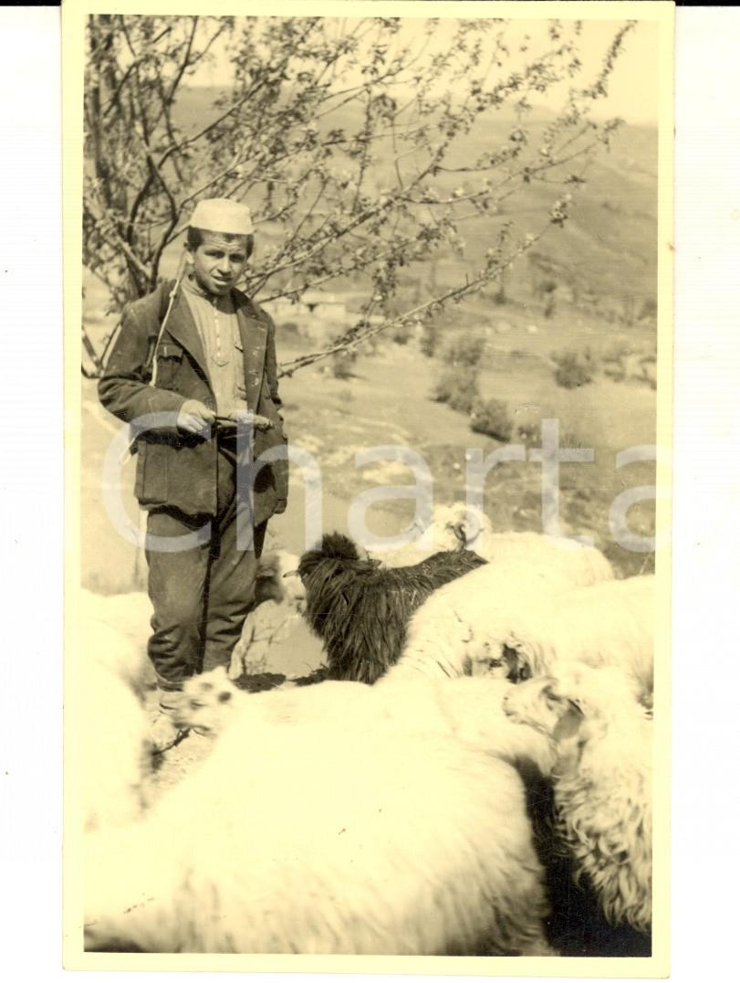 Fotografia d epoca originale 1941 WW2 HONDISHTA ALBANIA Giovane pastore con il gregge Foto cartolina RUEDI 1