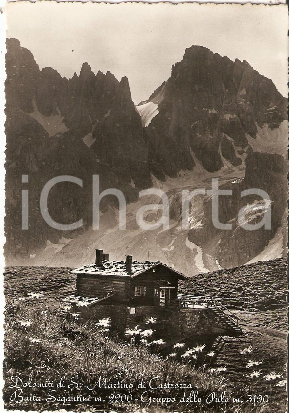 Cartolina originale da collezione 1950 SAN MARTINO DI CASTROZZA Baita SEGANTINI Gruppo delle Pale Cartolina FP VG 1