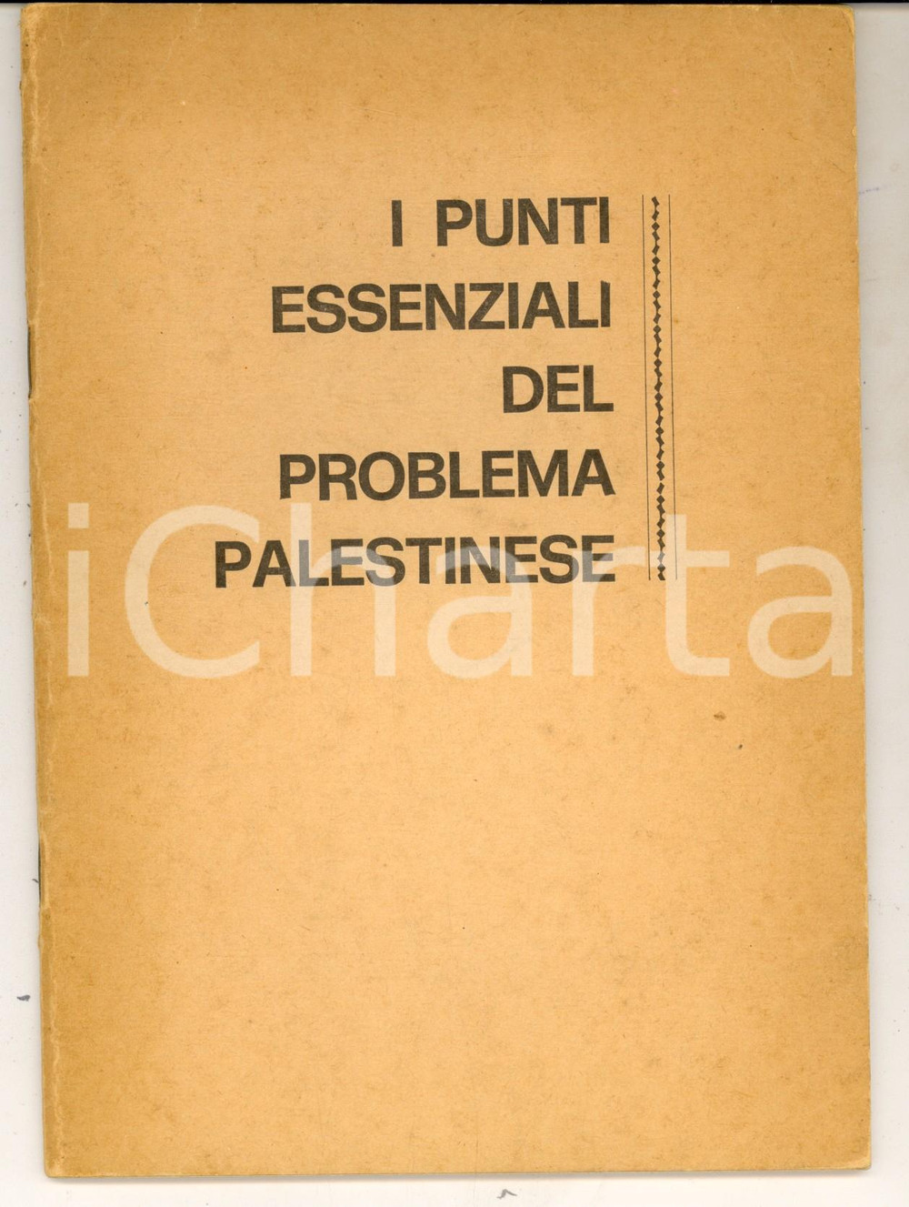 Libro, pubblicazione d epoca 1974 ROMA LEGA STATI ARABI I punti essenziali del problema palestinese 46 pp. 1