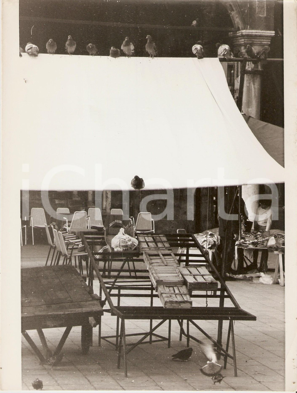 Fotografia d epoca originale 1975 ca PADOVA Bancarella e piccioni in PIAZZA DELLE ERBE Foto artistica 18x23 1