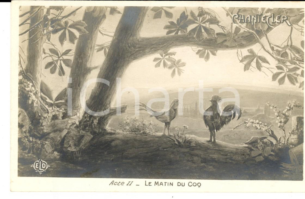 Cartolina originale da collezione 1910 THEATRE ROSTAND CHANTECLER Le matin du coq  Acte II Carte postale 1