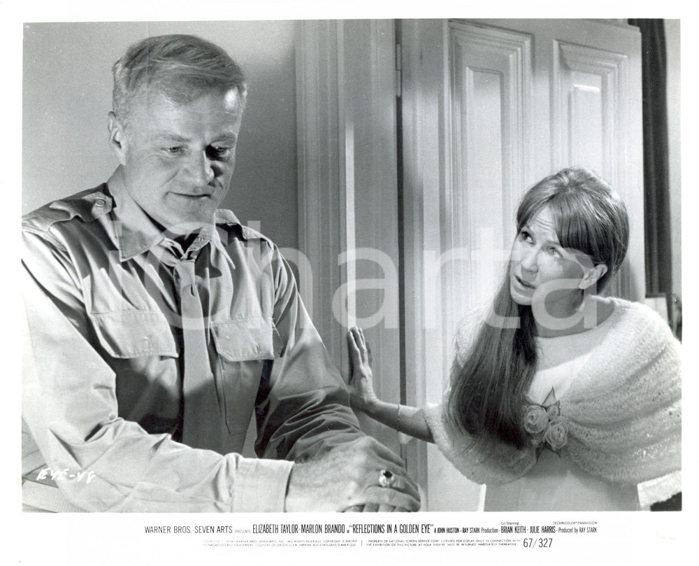 Fotografia d epoca originale 1967 REFLECTIONS IN A GOLDEN EYE Julie HARRIS Brian KEITH  Movie John HUSTON 1