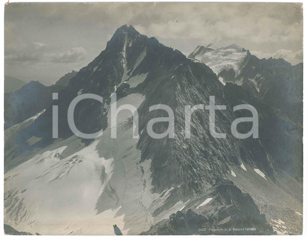 Fotografia d epoca originale 1920 ca ALPI RETICHE Presanella e Presend Spitze  Fotografia 26x20 cm 1