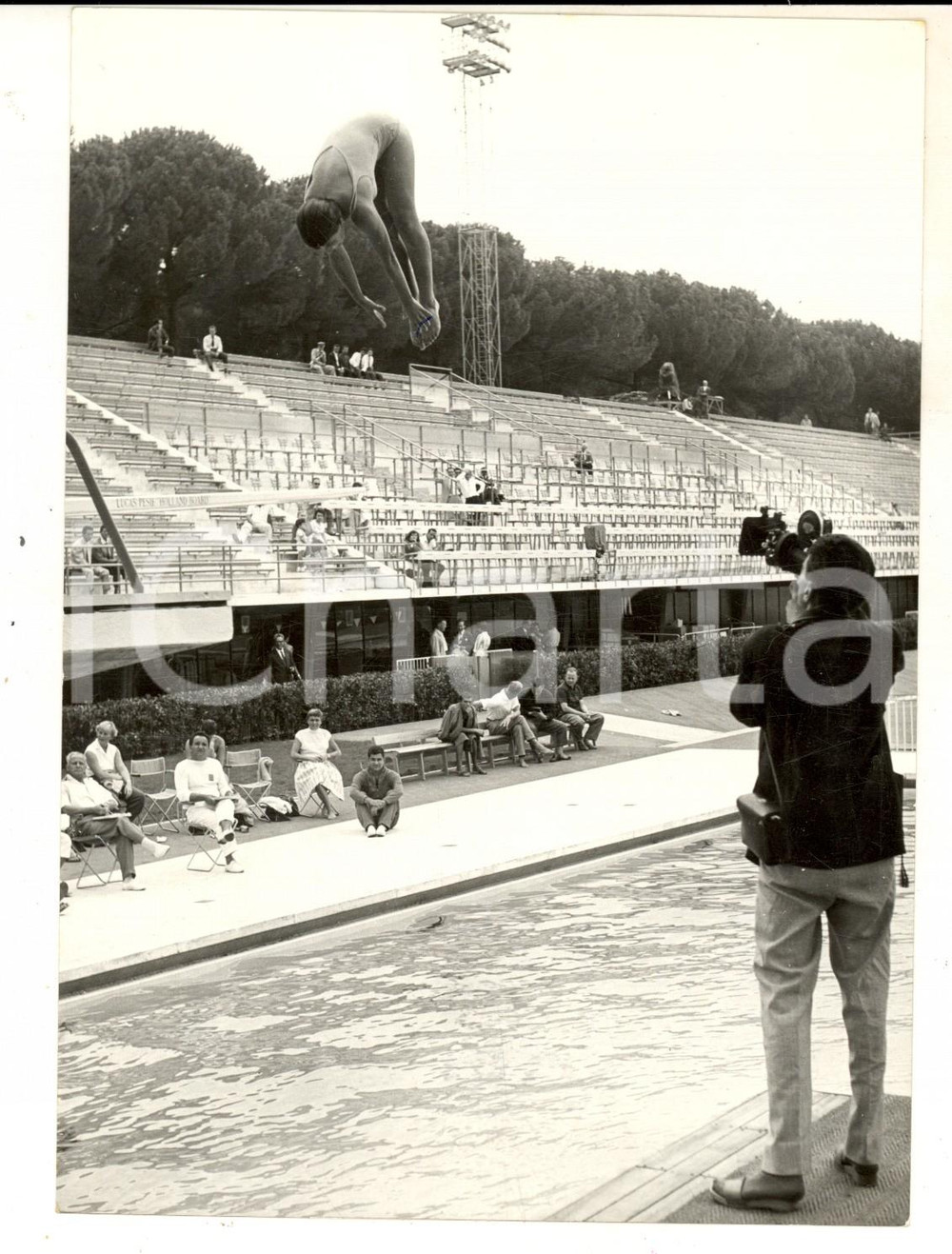 Fotografia d epoca originale 1959 ROMA FORO ITALICO NUOTO Le gare di tuffi nel nuovo stadio Foto 13x18 cm 1