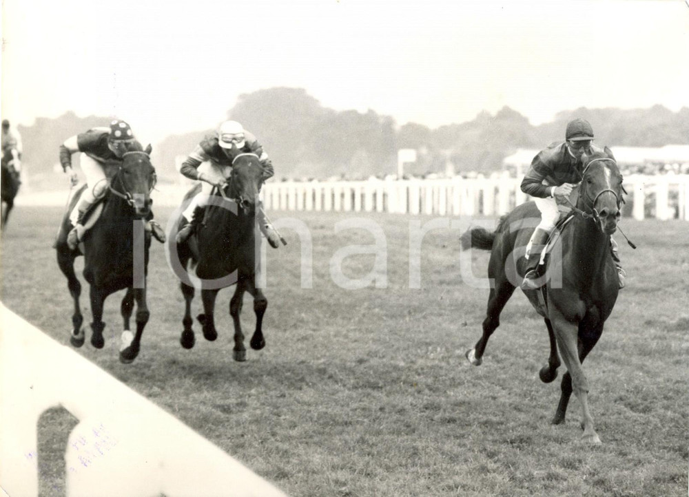Fotografia d epoca originale 1960 LONDON  Royal Ascot  Aly KHAN s Seshoon wins gold cup Photo 20x15 cm 1