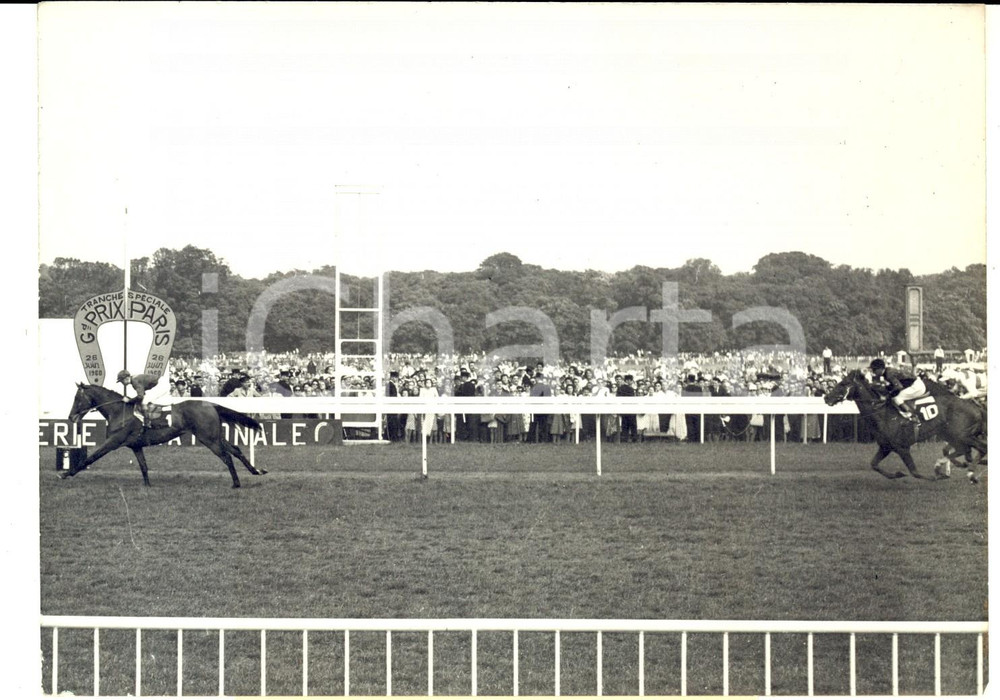 Fotografia d epoca originale 1960 Grand Prix de PARIS  LONGCHAMP  Le vainqueur CHARLOTTESVILLE Photo 18x13 1