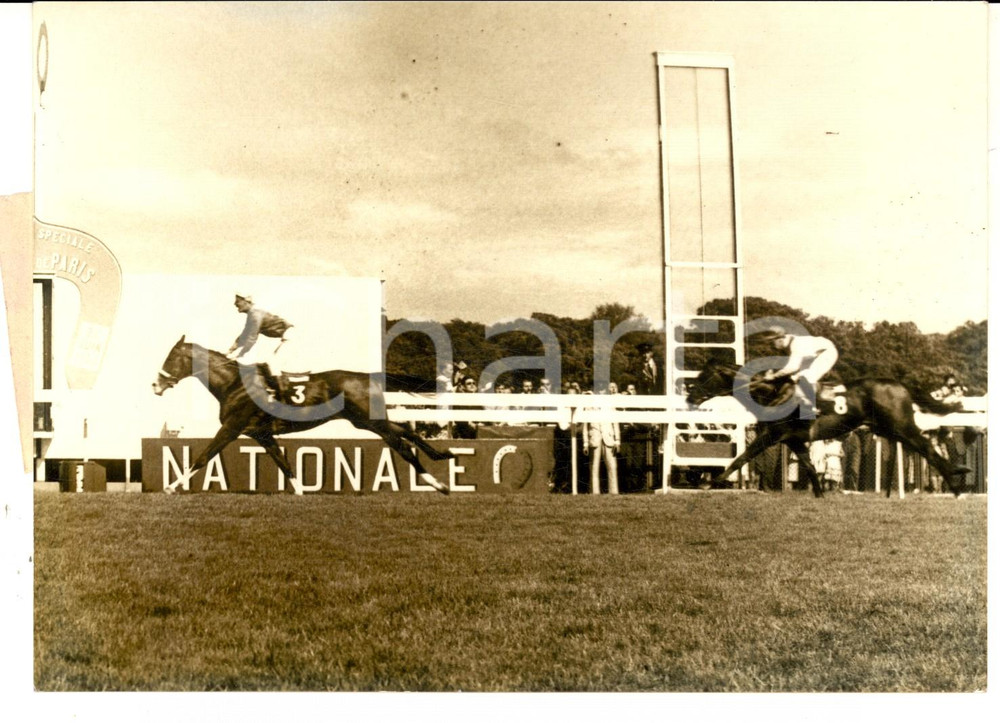 Fotografia d epoca originale 1962 Grand Prix de PARIS  LONGCHAMP  ArrivÃ©e du vainqueur ARMISTICE Photo 1