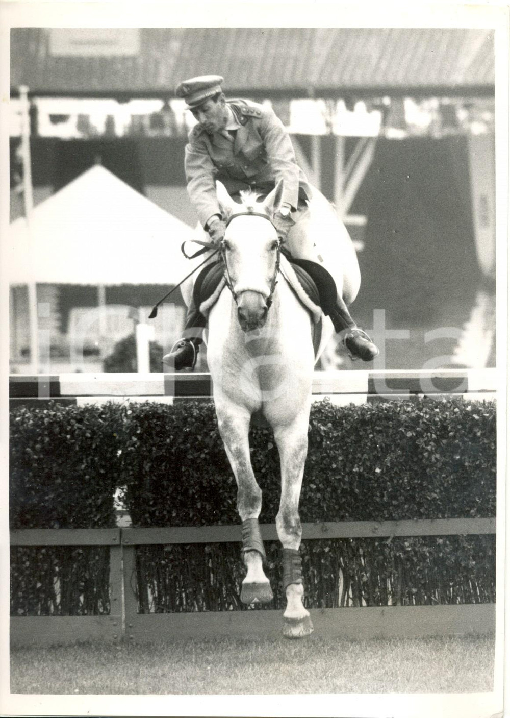 Fotografia d epoca originale 1961 LONDON White City Stadium  International Horse Show  Raimondo D INZEO 1