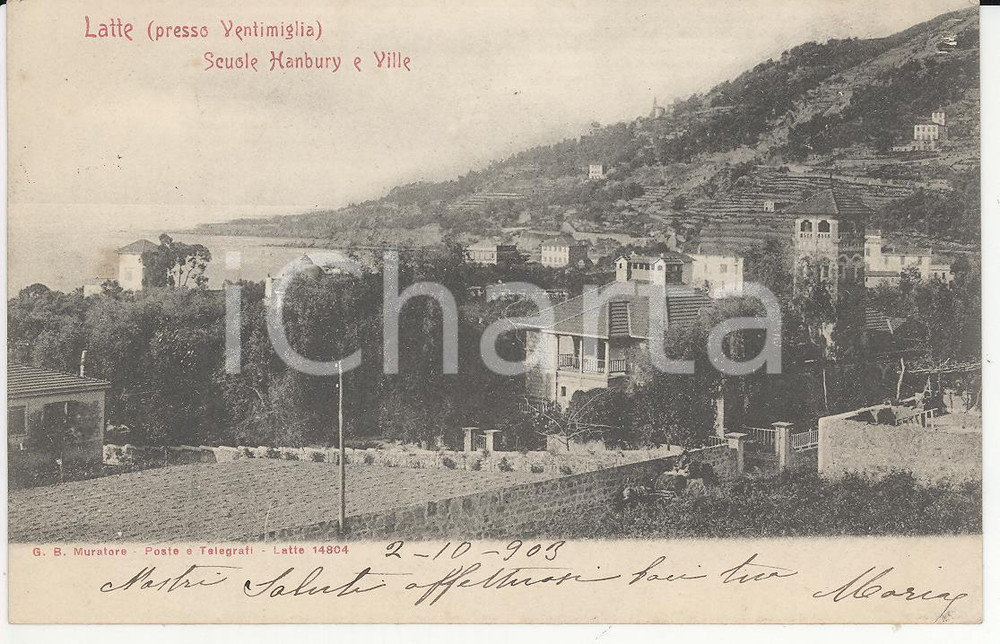 Cartolina originale da collezione 1903 VENTIMIGLIA Frazione LATTE Veduta dei giardini botanici HANBURY Cartolina 1
