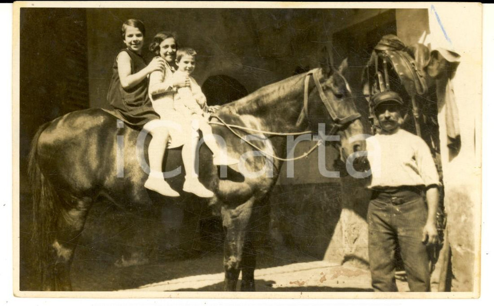 1931 AREA LOMBARDA Ritratto di famiglia con bambini a cavallo - Foto VINTAGE