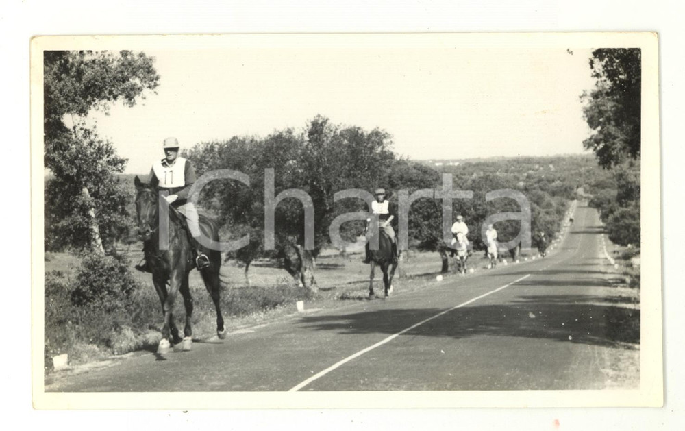 Fotografia d epoca originale 1960 ca PORTUGAL EQUITAZIONE Atleti al trotto su strada pubblica Foto 17x10 cm 1