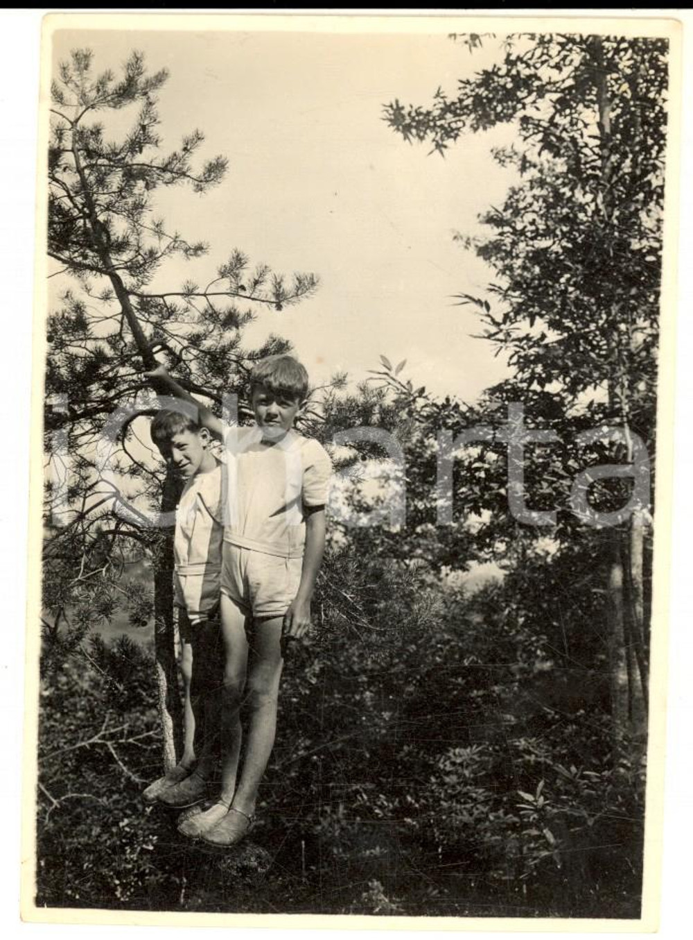Fotografia d epoca originale 1929 MIGNANEGO / GIOVI GE Coppia di bambini in giardino  Foto 8x11 cm 1