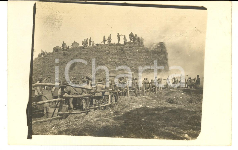 Fotografia d epoca originale 1915 ca WW1 ZONA DI GUERRA  GENIO  Costruzione di barriera Foto cartolina 1