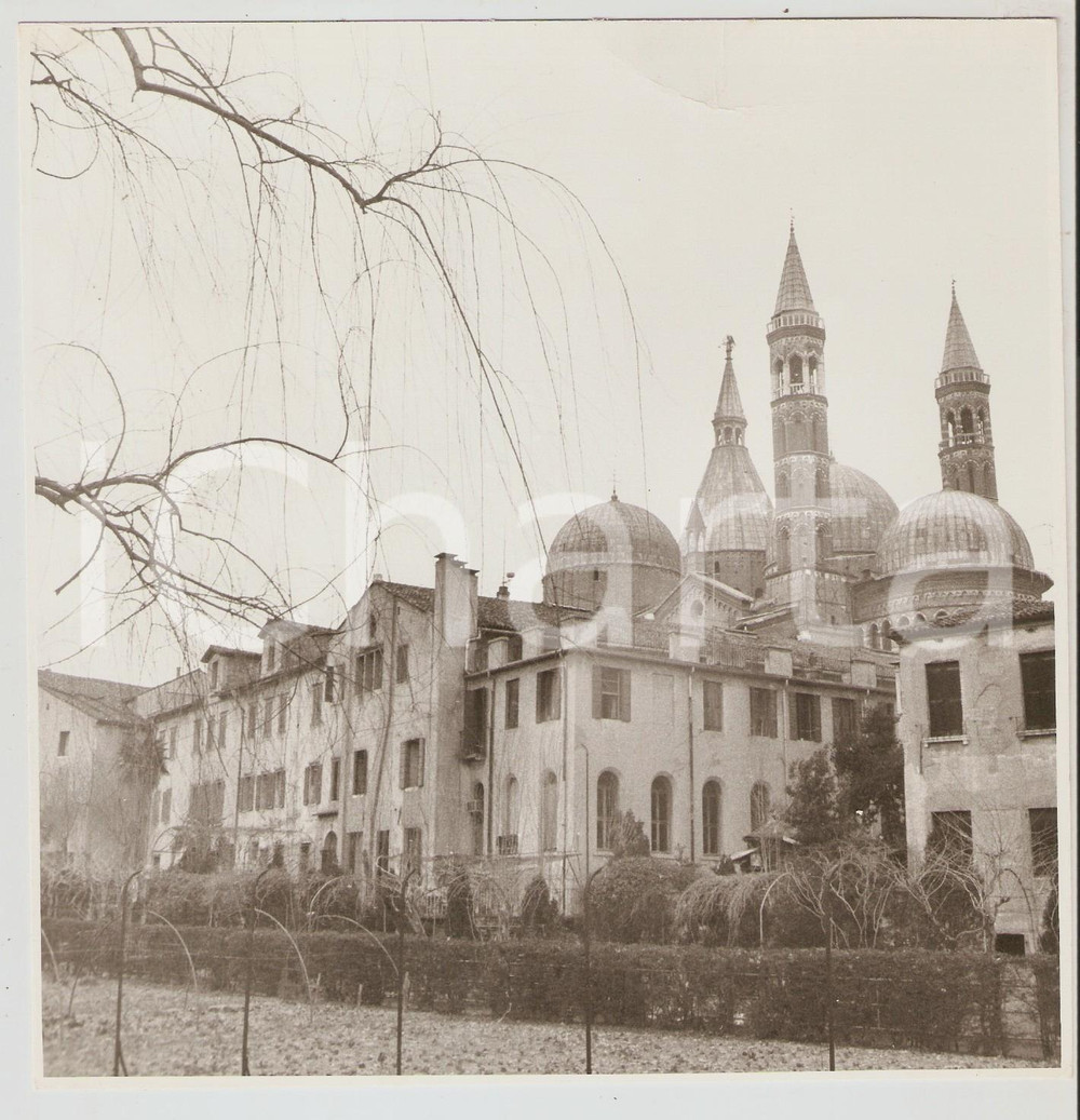 Fotografia d epoca originale 1970 ca PADOVA Veduta della Basilica di Sant Antonio dal parco del convento Foto 1