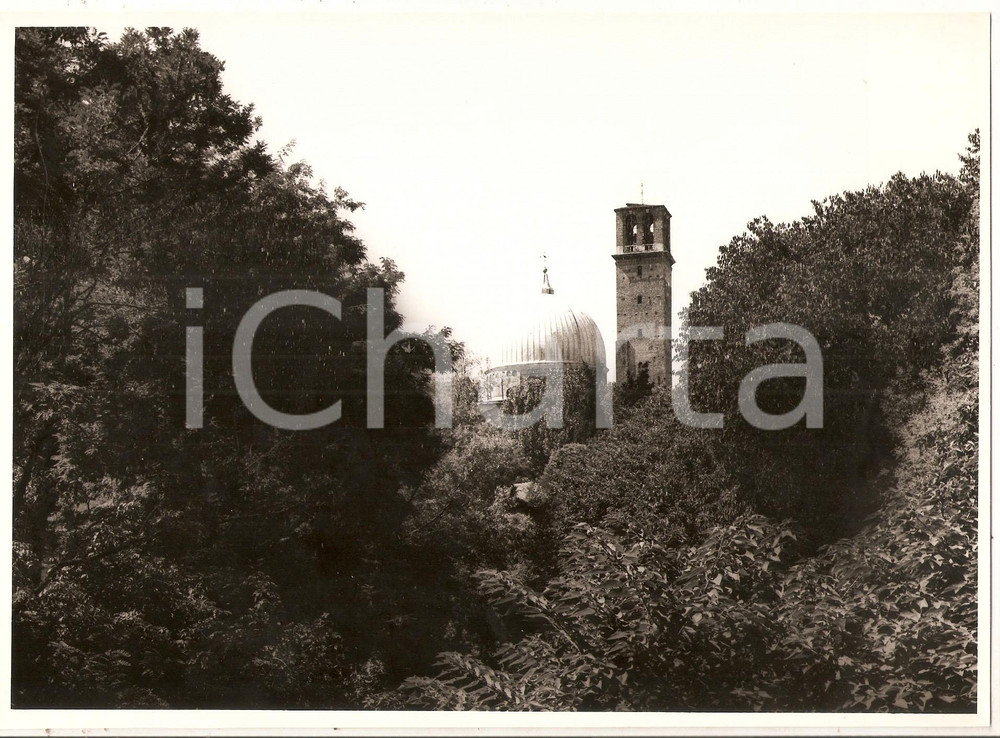 Fotografia d epoca originale 1970 PADOVA Cupola della Basilica di Santa Giustina emerge da vegetazione Foto 1