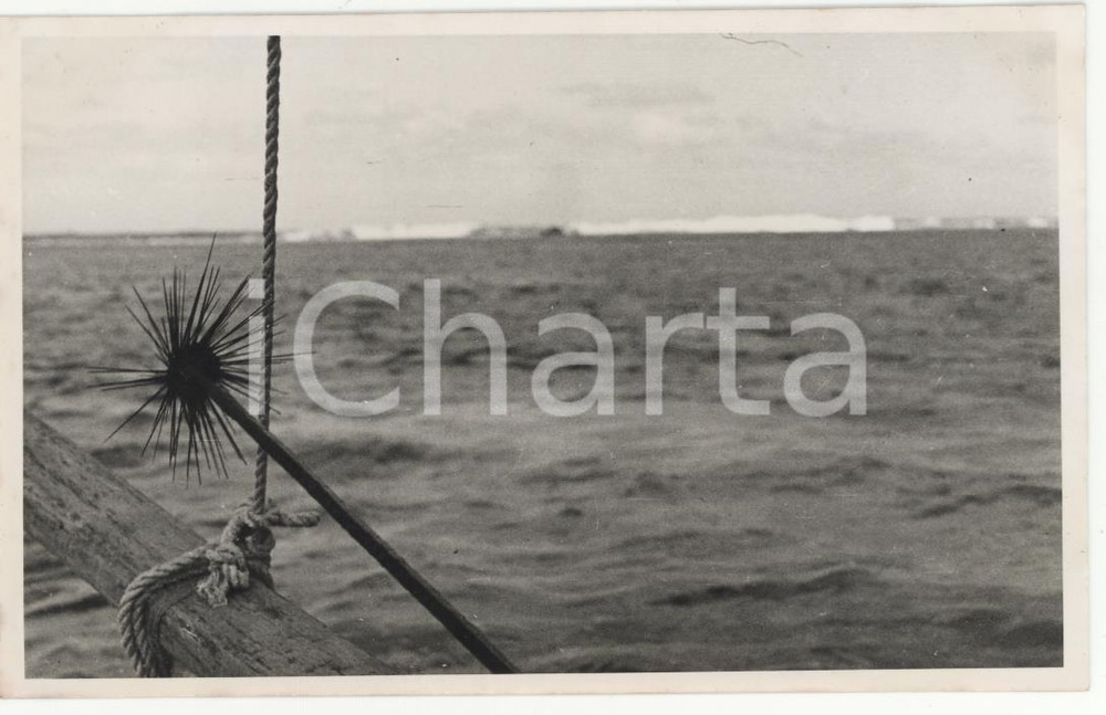 Fotografia d epoca originale 1937 BORA BORA Polinesia Pesca di ricci di mare  REAL PHOTO cm 13,5 x 8,5 1