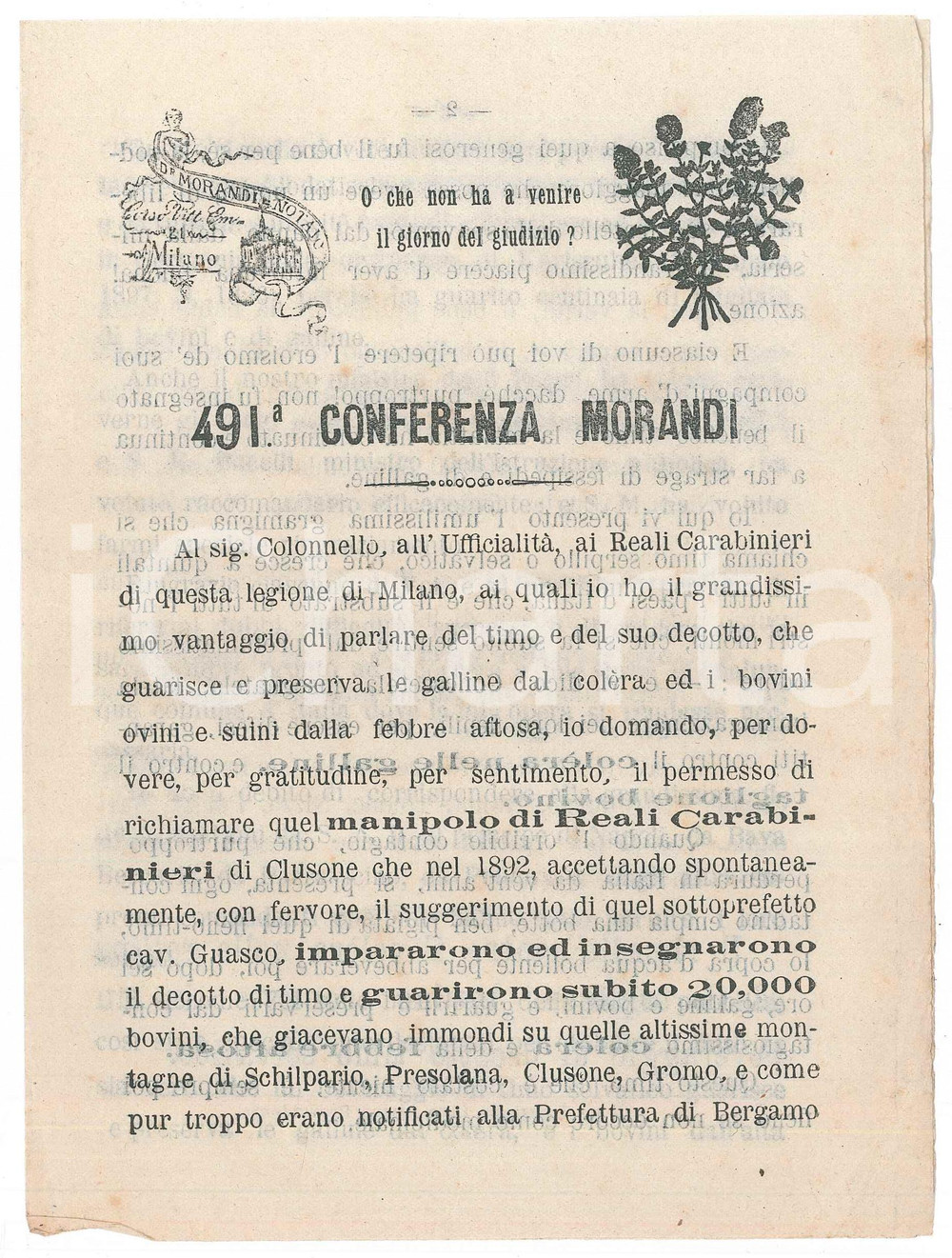 Materiale pubblicitario d’epoca 1905 ca MILANO Farmaceutica MORANDI  Decotto timo anti colera nelle galline 1