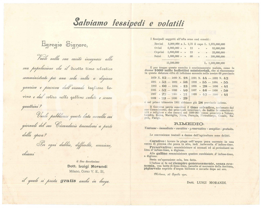 Materiale pubblicitario d’epoca 1901 MILANO Decotto al timo dott. Luigi MORANDI per fessipedi Pieghevole 1