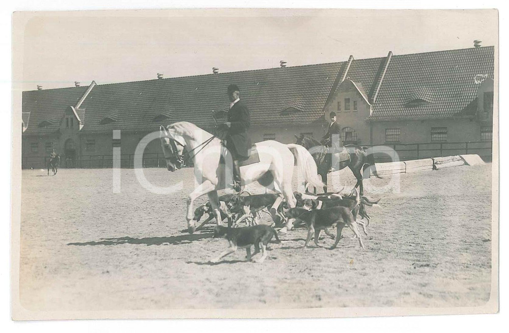 Fotografia d epoca originale 1910 ca GERMANIA  CACCIA  Partenza con i cani  Fotografia 14x9 cm 1