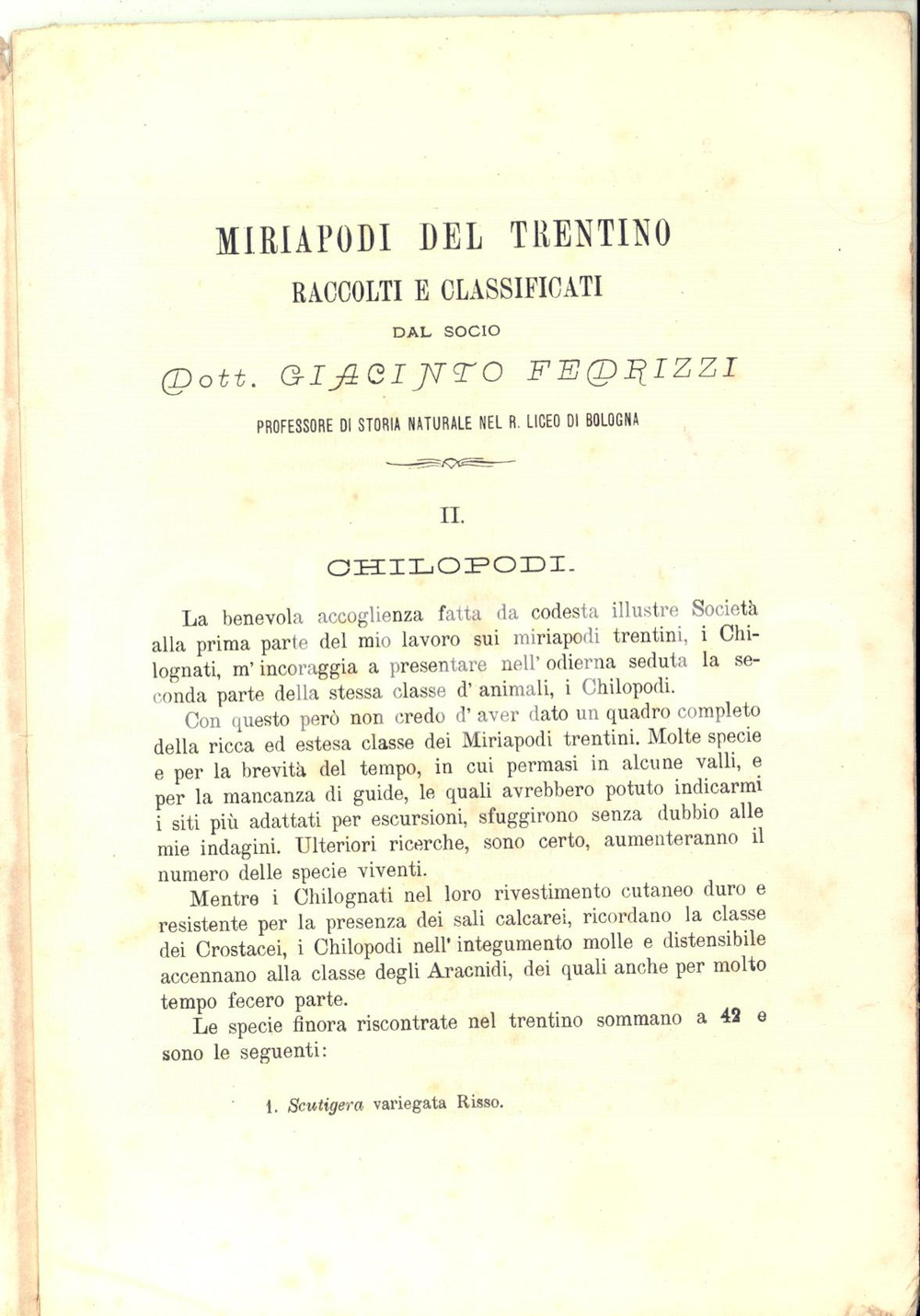 Libro, pubblicazione d epoca 1878 Giacinto FEDRIZZI Miriapodi del Trentino  II. Chilopodi 29 pp. 1