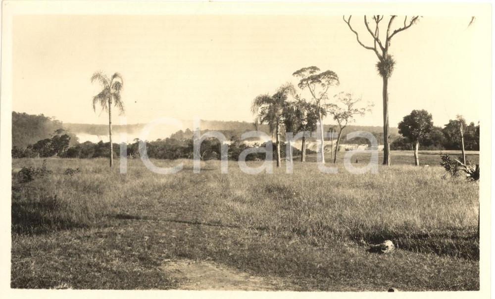 Fotografia d epoca originale 1930 ca ARGENTINA Cascate dell  IGUAZÃš viste dall altopiano  Foto VINTAGE 14x9 1