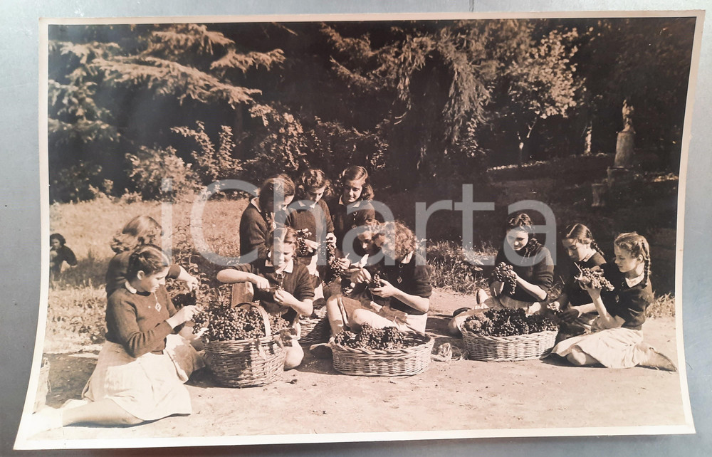 Fotografia d epoca originale 1935 ca COSTUME ITALIA Vendemmia  Ragazze con ceste d uva Foto 38x25 cm 1