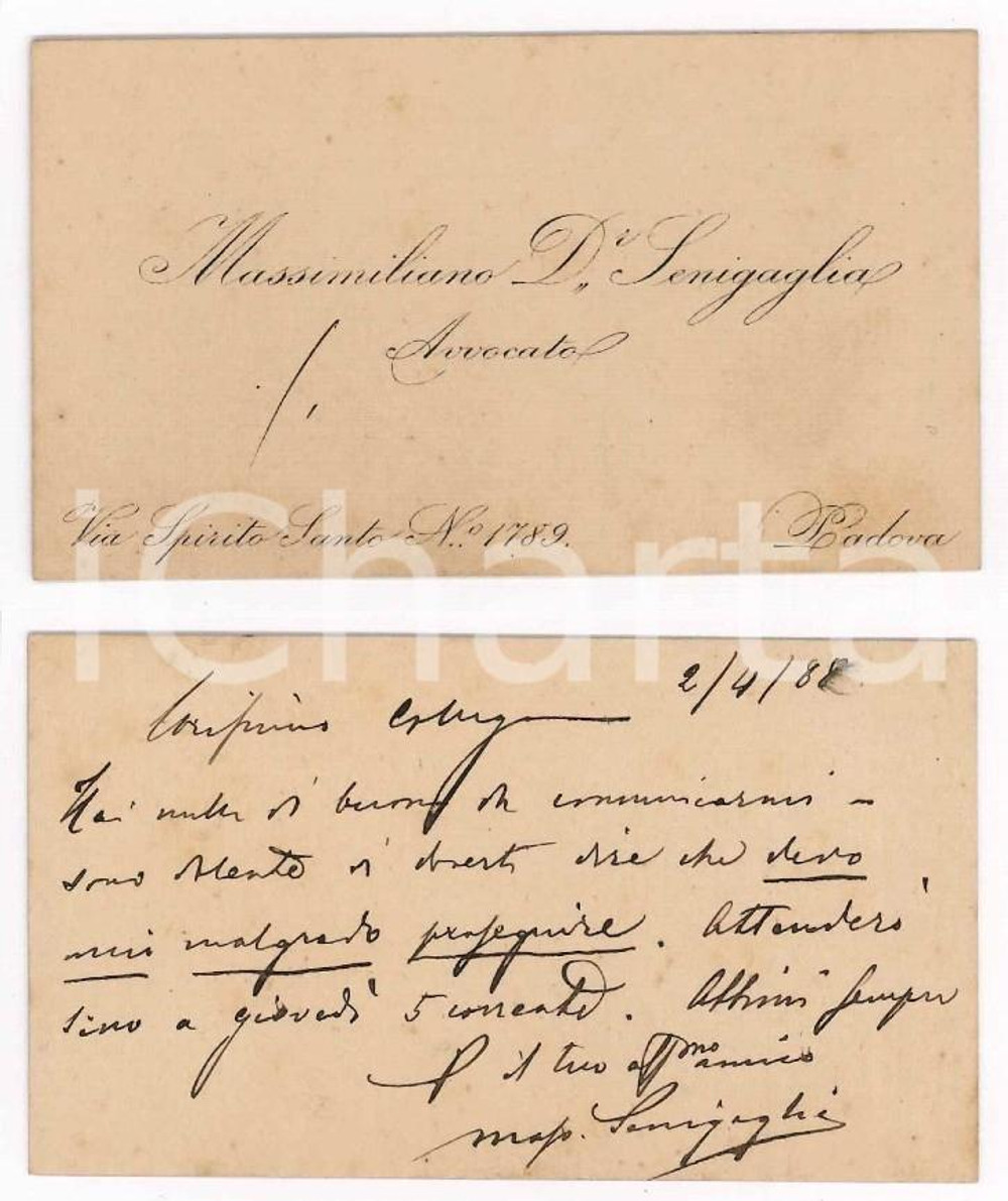 Autografo originale 1888 PADOVA Massimiliano SENIGAGLIA avvocato  Biglietto da visita AUTOGRAFO 1