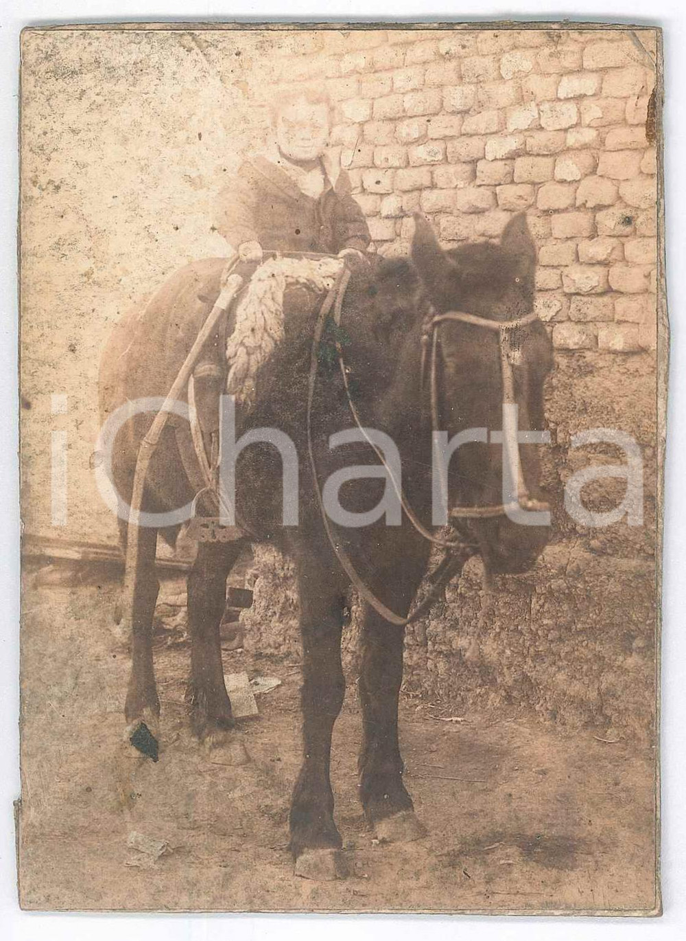 Fotografia d epoca originale 1900 ca COSTUME ITALIA Bambina a cavallo  Ritratto  Foto 9x12 cm 1