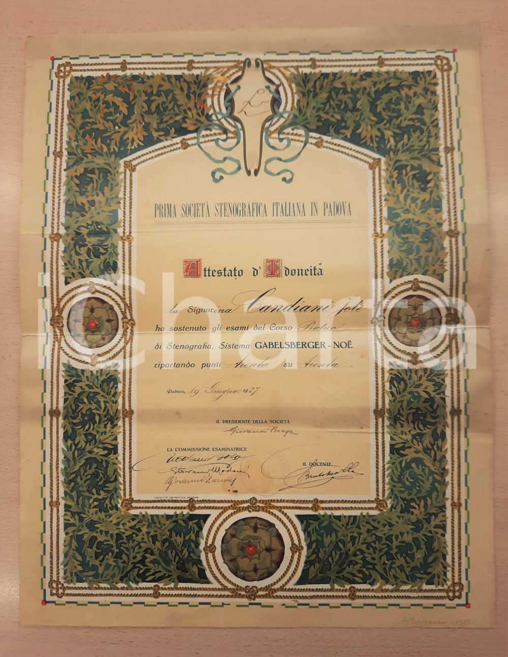 Documento originale, autentico 1927 PADOVA Società Stenografica Italiana  Attestato corso Jole CANDIANI 1