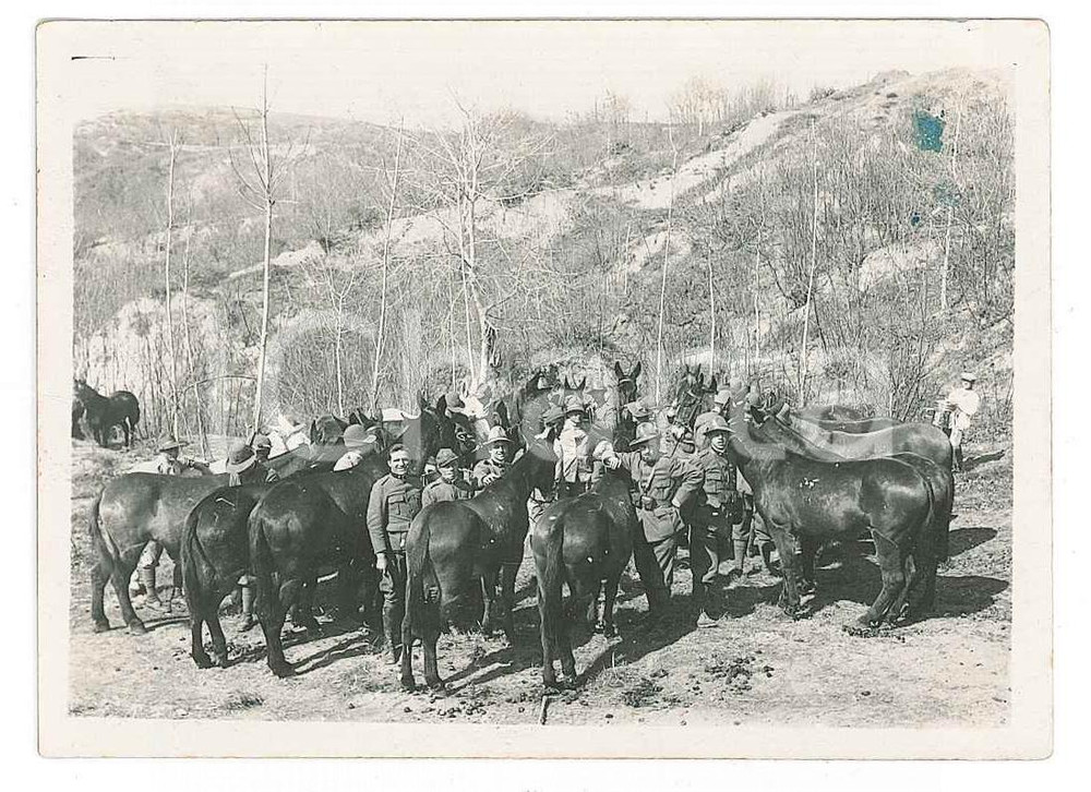 Fotografia d epoca originale 1931 BRA  ALPINI insieme ai loro muli  Foto 8x7 cm 1
