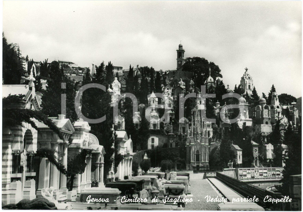 Cartolina originale da collezione 1950 ca GENOVA Cimitero di STAGLIENO Veduta delle Cappelle  Cartolina FG NV 1