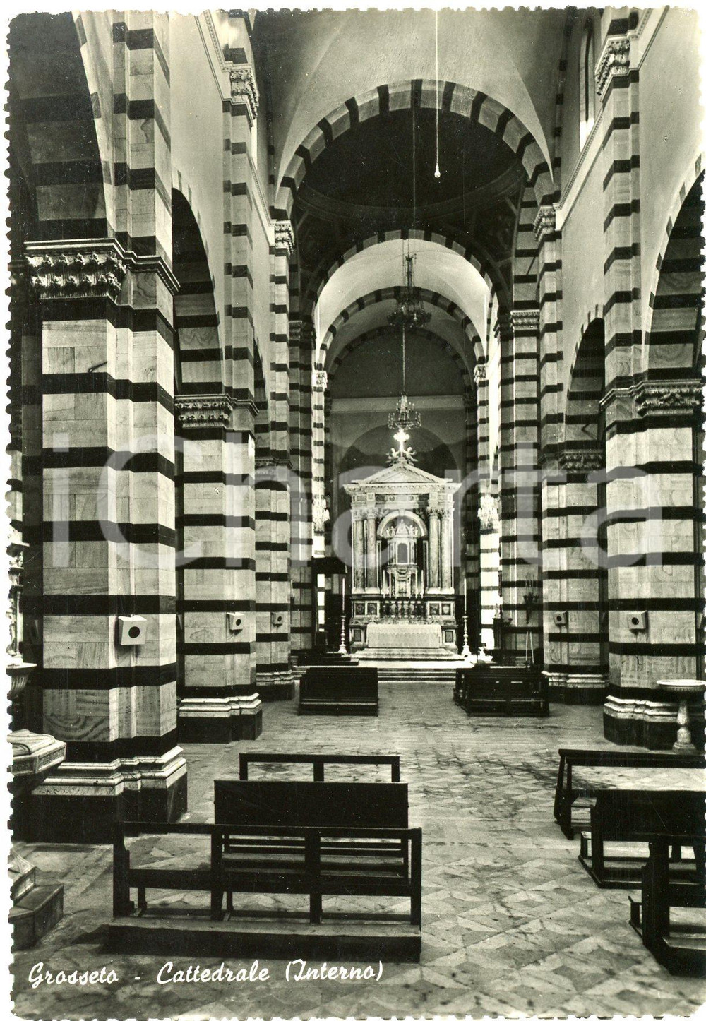 Cartolina originale da collezione 1950 ca GROSSETO Interno della Cattedrale di San Lorenzo  Cartolina FG VG 1