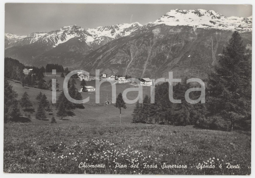 Cartolina originale da collezione 1950 ca CHIOMONTE Pian del Frais superiore e sfondo 4 Denti  Cartolina 1