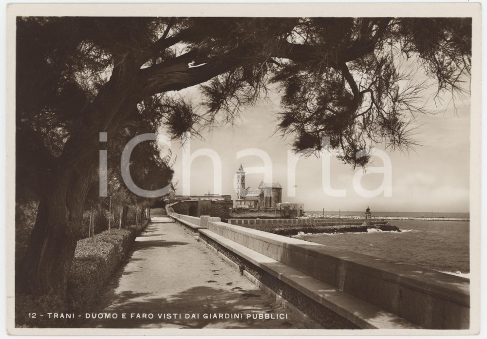 Cartolina originale da collezione 1950 ca TRANI Faro e Duomo visti dai Giardini Pubblici  Cartolina FG 1