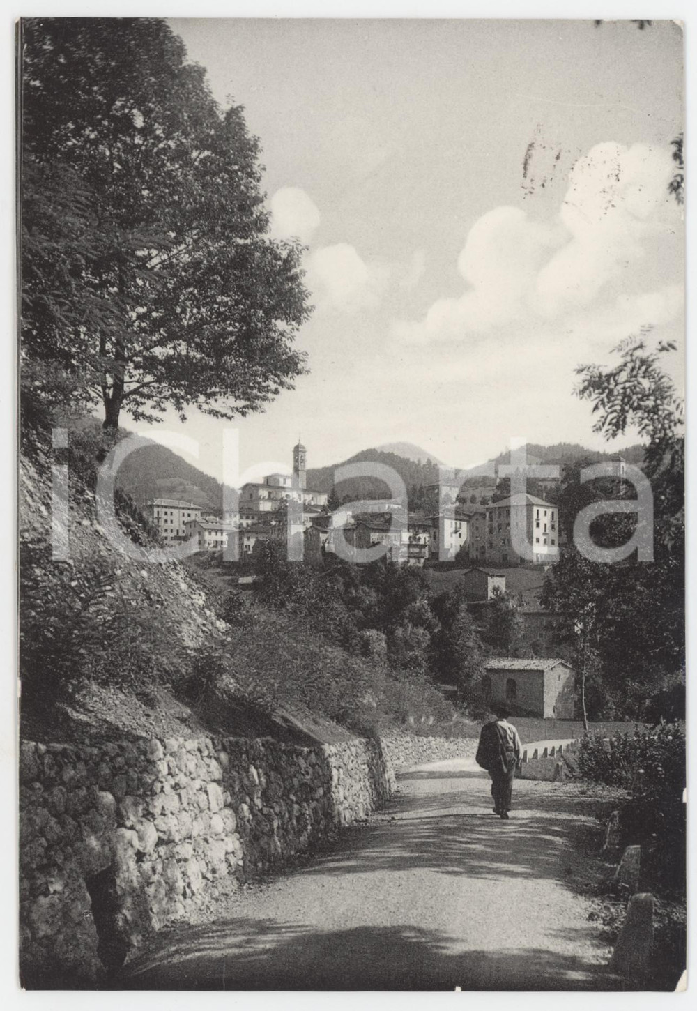 Cartolina originale da collezione 1950 ca SERINA Panorama della Stazione climatica  Cartolina FG VG 1