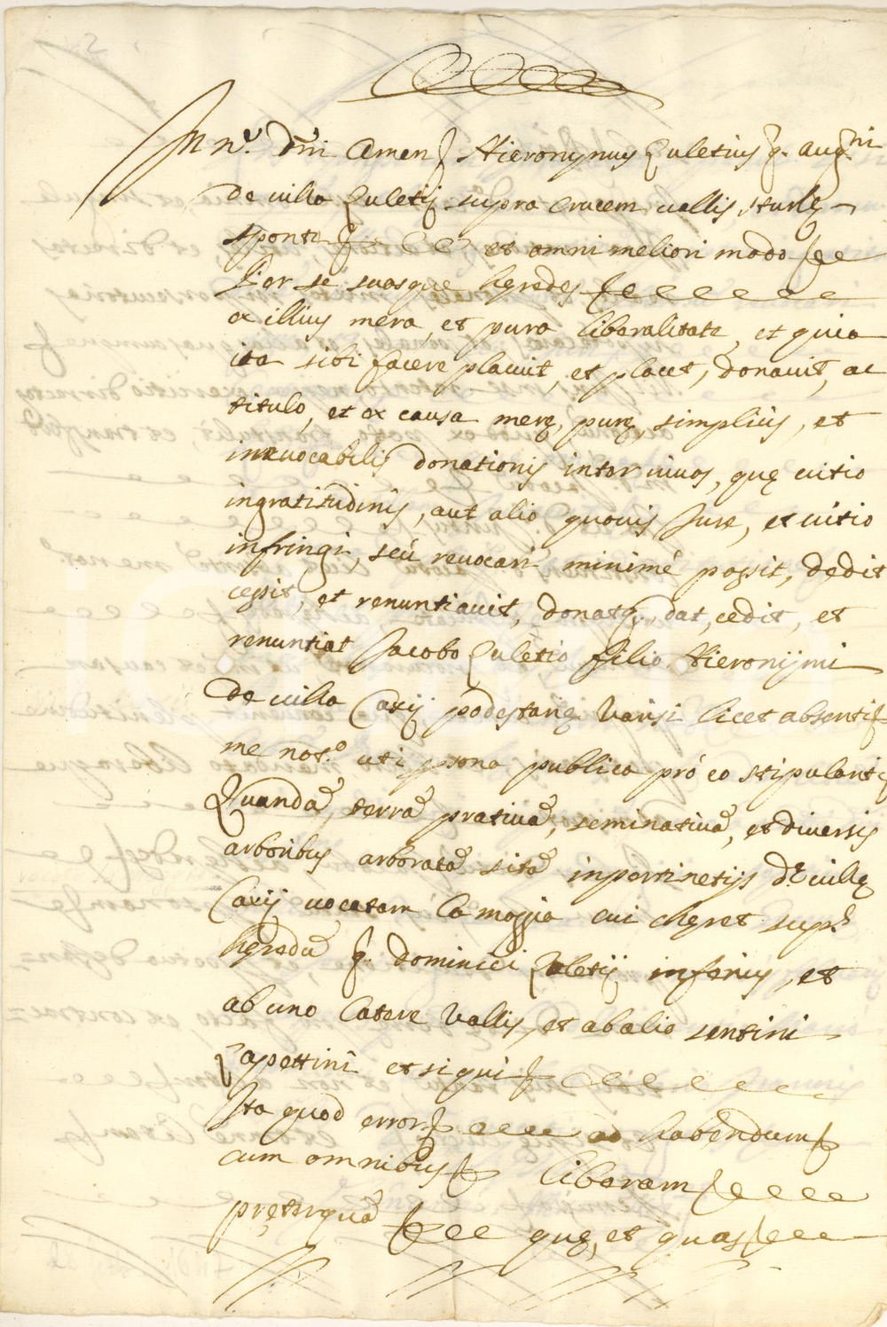 Documento originale, autentico 1647 BORZONASCA Girolamo ZOLEZZI dona terra LA MOGGIA al figlio Manoscritto 1