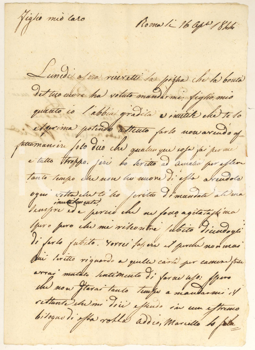 Manoscritto, lettera originale 1844 ROMA Nobildonna Paolina CAMBI VOGLIA ringrazia per la pizza AUTOGRAFO 1