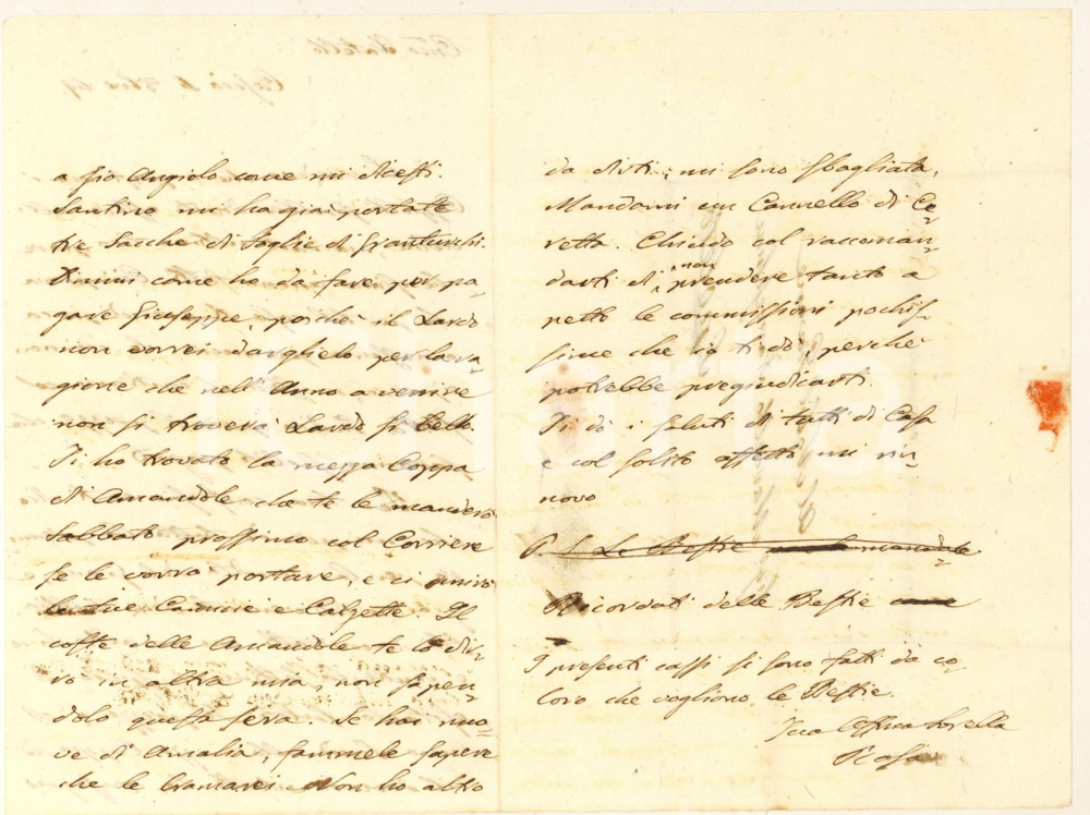 1849 CASCIA Rosa LEONETTI su vendita di grano e invio di mandorle *Lettera Lettera prefilatelica, autografa della nobildonna Rosa Franceschini Leonetti al fratello Marcello.PAGINE: 4 (3 scritte) FAIR/discreto piegature d'epoca  originale e autentica 1