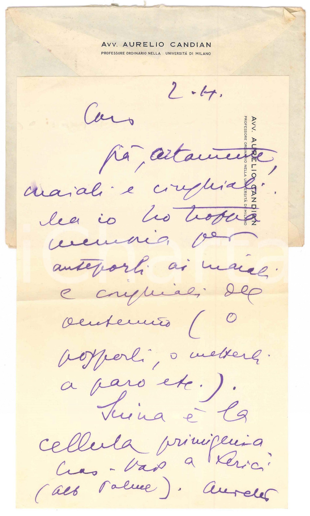 Autografo originale 1955 MILANO Lettera Aurelio CANDIAN Maiali e cinghiali del ventennio Autografo 1