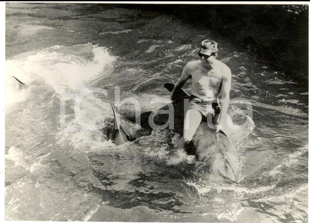 Fotografia d epoca originale 1966 MARINELAND OF THE PACIFIC Eddie ASPERS cavalca una balena  Foto 18x13 cm 1
